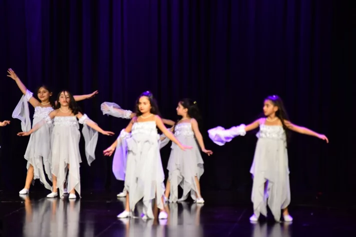 Liberation Dance Show by Zirka